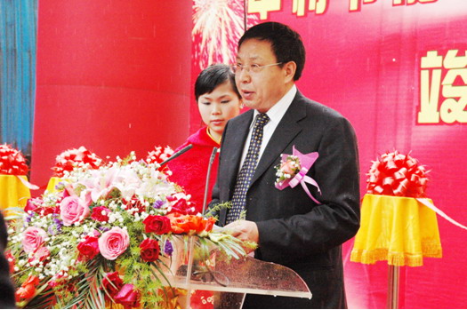 �ǿ��ۺ������������