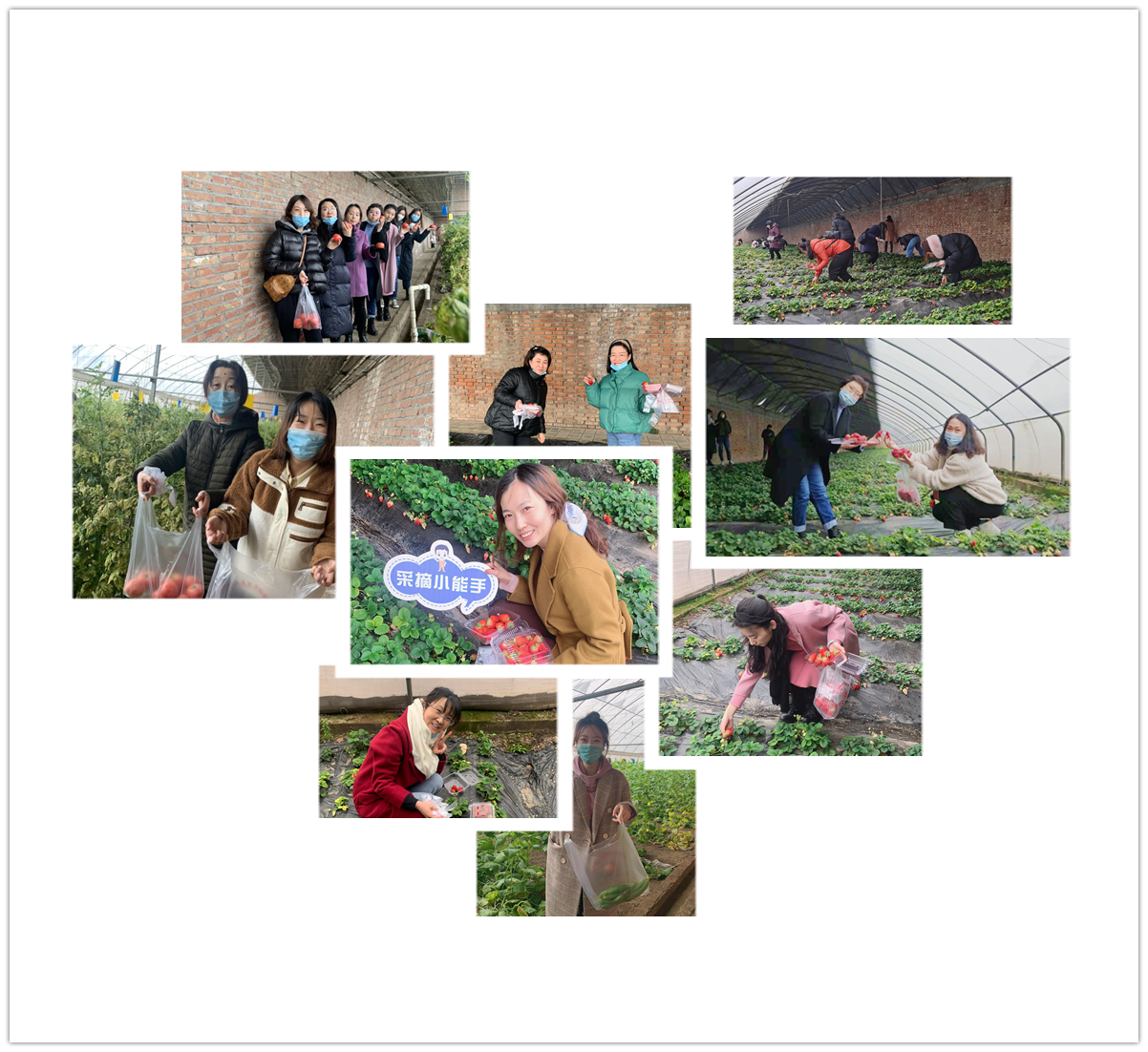 星空综合体育官网入口