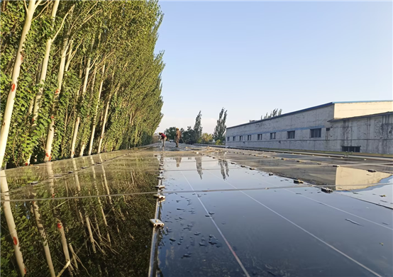 星空综合体育官网入口